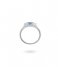 24Kae  Ring met kleurstenen 124104S Silver