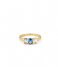 24Kae  Ring met kleurstenen 124104Y Gold plated