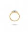 24Kae  Ring met kleurstenen 124104Y Gold plated