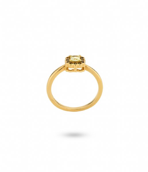 24Kae  Ring With Colored Stones 124109Y Gold colored