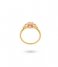 24Kae  Ring met kleurstenen 124113Y Gold plated
