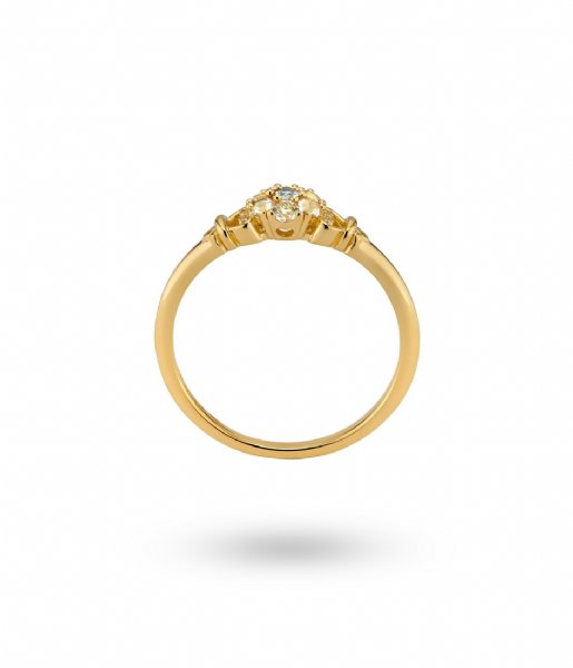 24Kae  Ring met bloem in kleurstenen 12445Y Gold colored