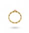 24Kae  Ring met ketting structuur en kleursteen 12463Y Gold colored
