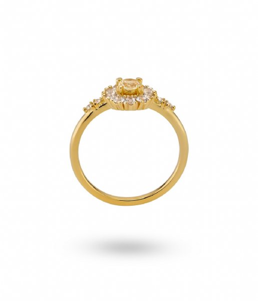 24Kae  Ring met bloem in kleurstenen 12468Y Gold colored