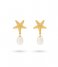 24Kae  Earring Starfish And Sweetwater Pearl 42488Y Gold colored