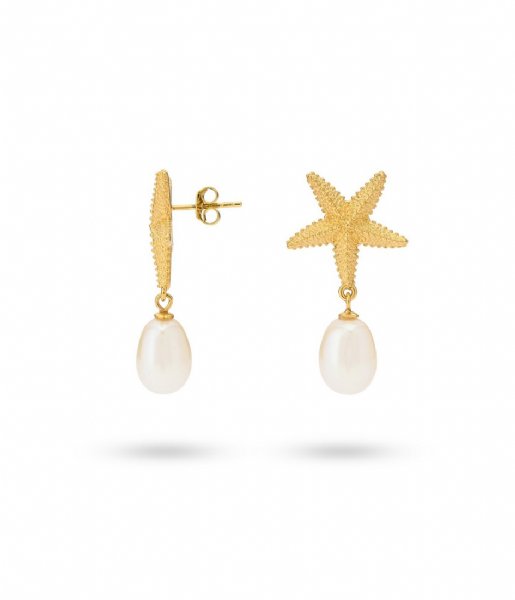 24Kae  Earring Starfish And Sweetwater Pearl 42488Y Gold colored