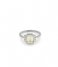 24Kae  Ring met kleurstenen 925 Sterling zilver gerhodineerd 12402S Silver
