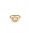 24Kae  Ring met kleurstenen 925 Sterling zilver 12402Y Yellow
