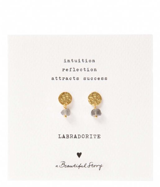 A Beautiful Story Oorbellen Mini Coin Labradorite Gold Plated Earrings Goud