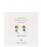 A Beautiful Story  Mini Coin Aventurine GP Earrings Gold colored