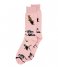 Alfredo Gonzales  Cats Socks Pink (111)
