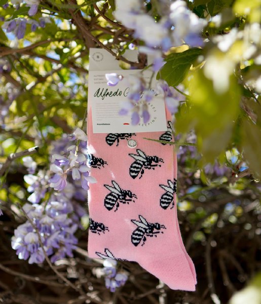 Alfredo Gonzales  Humblebees Socks pink white (111)