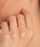 Ania Haie Ring Smooth Twist Thin Band Ring Small AH R038-01G Gold