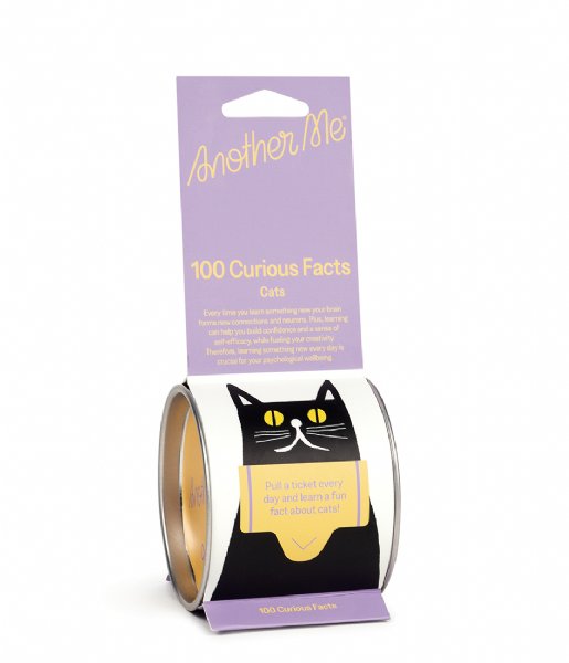 Another Me  Box 100 Curious Facts Cats Purple