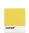 BalviTrivet Pantone Silicone Yellow