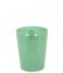 BalviWastebasket Mr.Recycle Pp Plastic Green