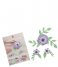 Balvi  Diy Paper Flower Anemone Mauve