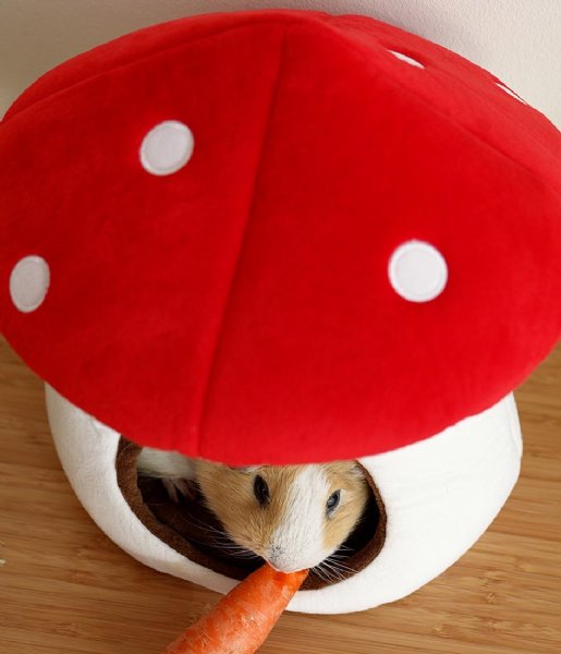 Balvi  Guinea Pig Bed Mushroom Beige Red