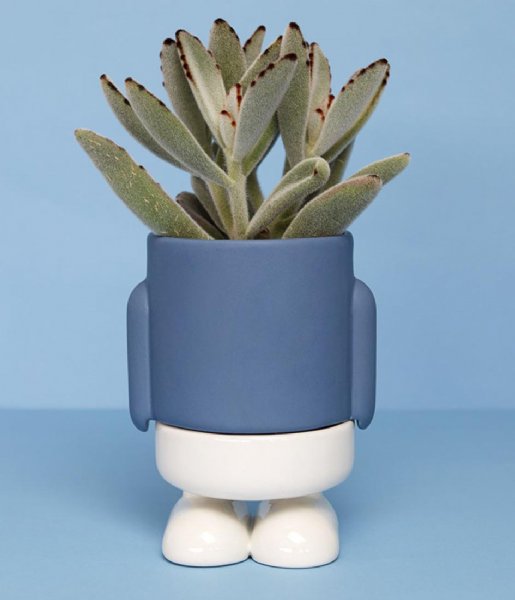 Balvi  Mini Flower Pot Mr.Standy Blue