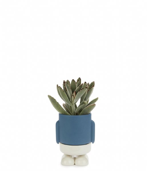 Balvi  Mini Flower Pot Mr.Standy Blue