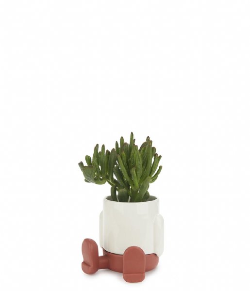 Balvi  Mini Flower Pot Mr.Sitty Red