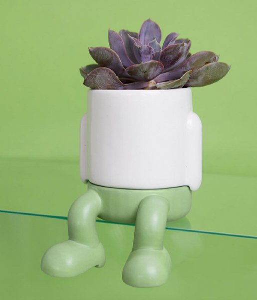 Balvi  Mini Flower Pot Mr.Dangly Green