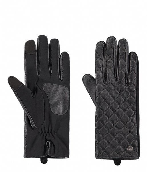 Barts  Hague Gloves Black (01)
