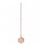 CLUSE  Essentielle Hexagon Charm Lariat Necklace rose gold plated (CLJ20013)