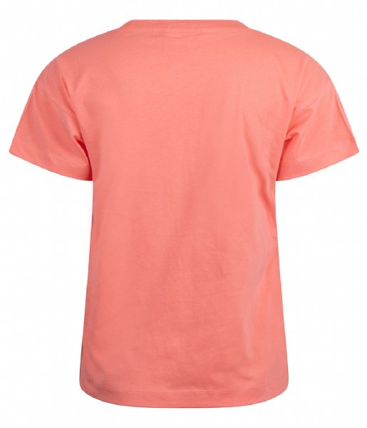 Champion  Crewneck T-Shirt Sep (PS093)