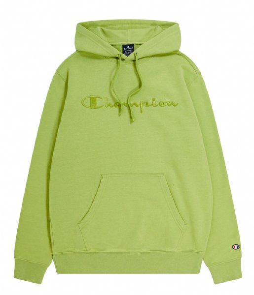 Champion  Hooded Sweatshirt Fern (GS106)