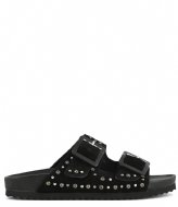 Colors of California Cow Suede Bio With Studs Black (BLA)
