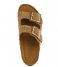 Colors of California  Cow Suede Bio With Studs Tan (TAN)