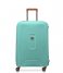 Delsey  Moncey 69 Cm 4 Double Wheels Trolley Case Almond