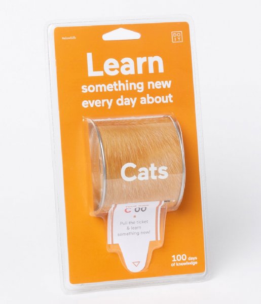 DOIY  Learn Something New Every Day About Cats brown