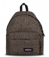 Eastpak Padded Pak R Accentimal Brown (9A2)