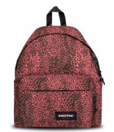 Eastpak Out Of Office Accentimal Peach (9A4)