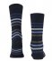 Falke  Tinted Stripe Dark Navy (6371)