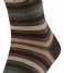 Falke  Tinted Stripe Beech (7464)