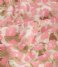 Fabienne Chapot  Archana Butterfly Dress Quick Sand/Pink Papa (2009-7316-CHE)