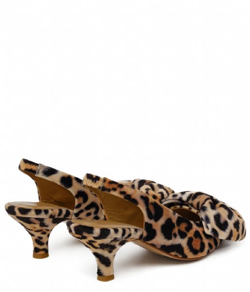 Fabienne Chapot  Beau Kitten Heel Leopard (0049)