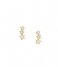 Fossil  Sadie JF04241710 Gold