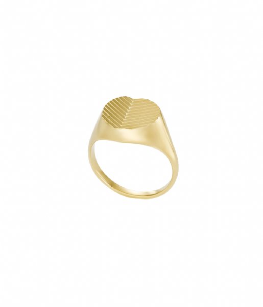 Fossil  Linear Texture Heart Gold colored