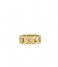 Fossil  Linear Texture Chain Gold colored