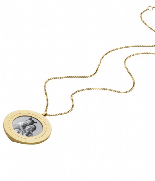 Fossil  Locket Collection Gold colored