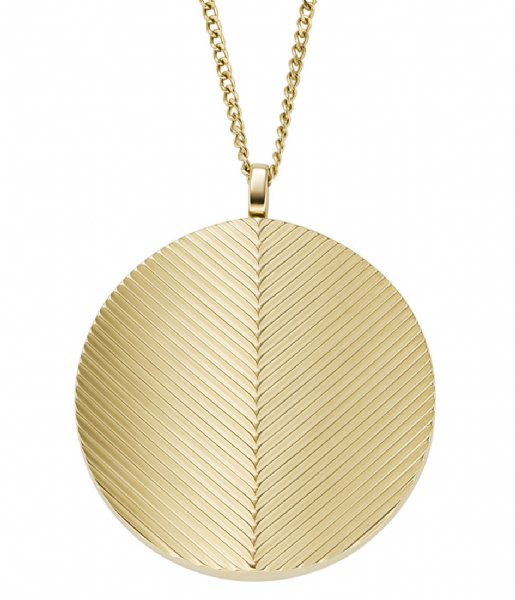 Fossil  Locket Collection Gold colored