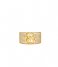 Michael Kors  Premium MKJ8063710 Gold