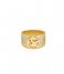 Michael Kors  Premium MKJ8063710 Gold