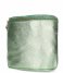 Fred de la Bretoniere  FRB0448 Crossbody Metallic Grain Leather S Light Green (7006)