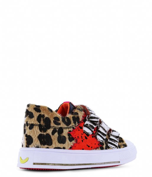 Go Bananas  Leo Love Velcro Sneaker Leopard Brown