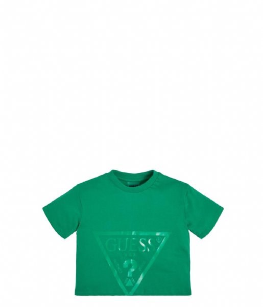 Guess  Short Sleeve T-Shirt Cacti Green (A81M)